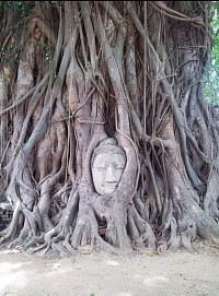 Wat Mahathat